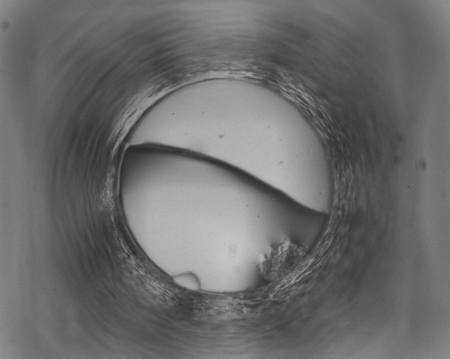 X0000070190098200605261015