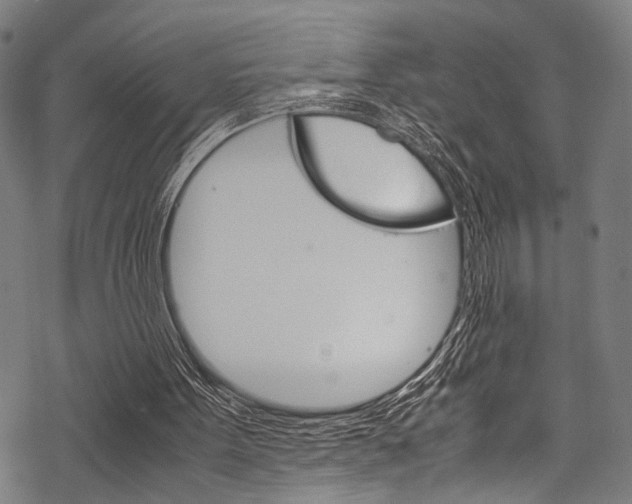 X0000070190099200605261015