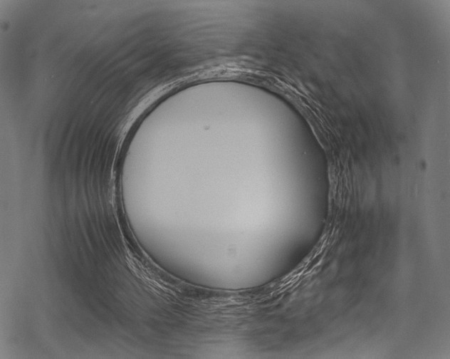 X0000070190100200605261015