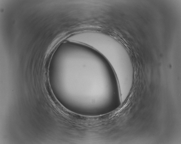 X0000070190101200605261015