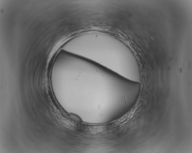 X0000070190102200605261015