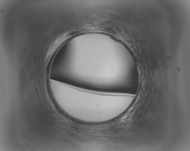 X0000070190103200605261015