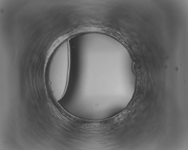 X0000070190104200605261015