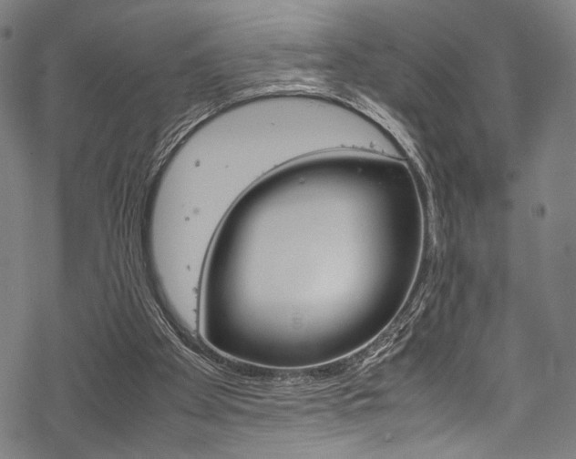 X0000070190105200605261014