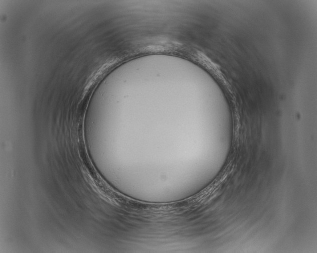 X0000070190106200605261014