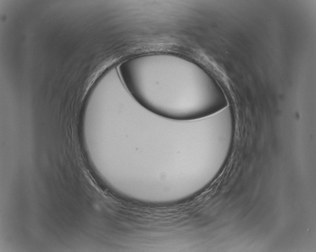 X0000070190107200605261014