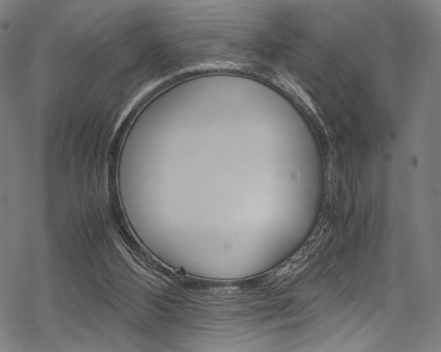 X0000070190108200605261014