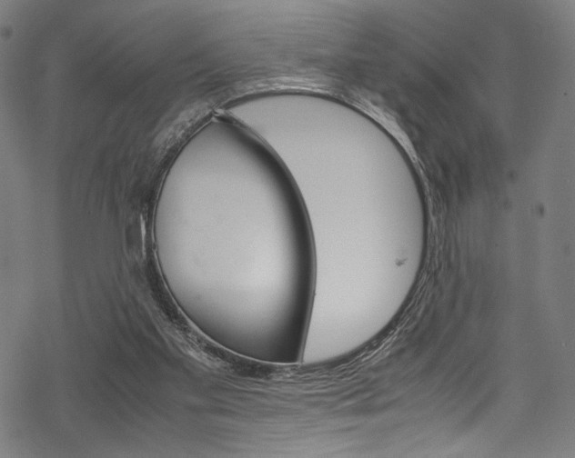 X0000070190109200605261014