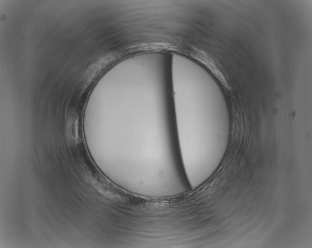 X0000070190110200605261014