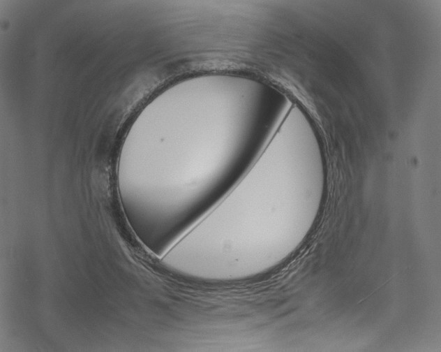 X0000070190111200605261014