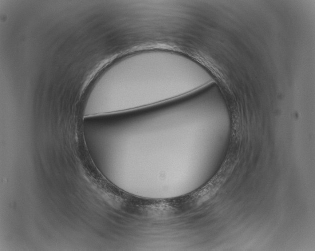 X0000070190112200605261014