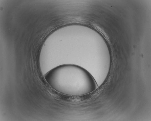 X0000070190113200605261014