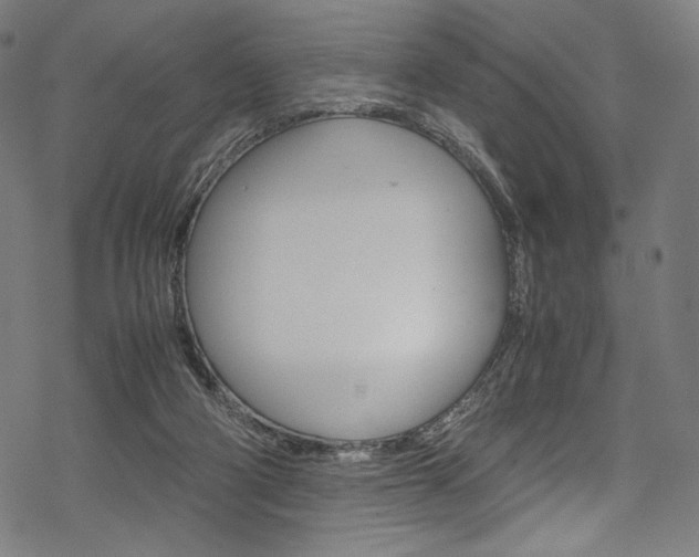 X0000070190114200605261014