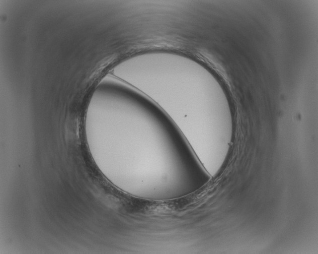 X0000070190115200605261014