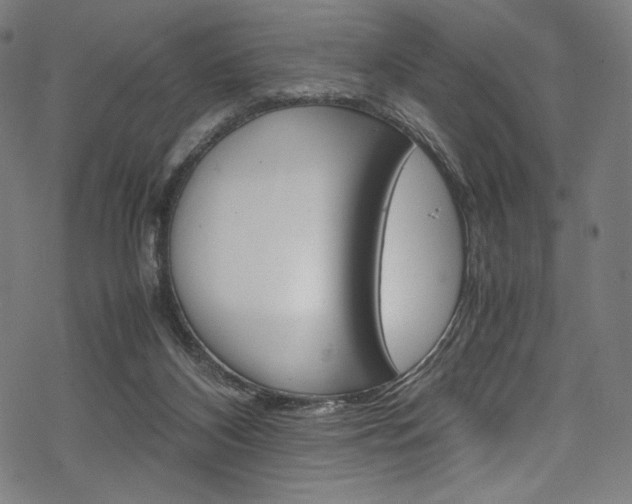 X0000070190116200605261014