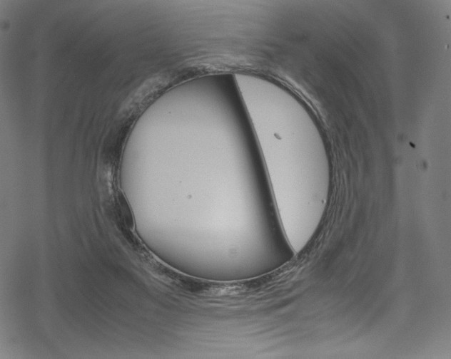 X0000070190117200605261014