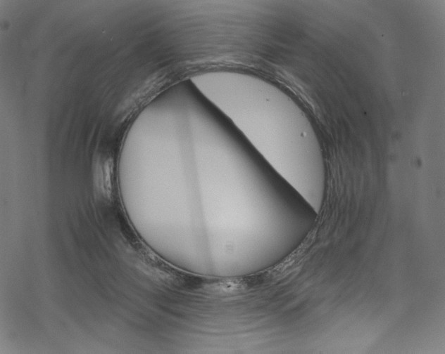 X0000070190118200605261014