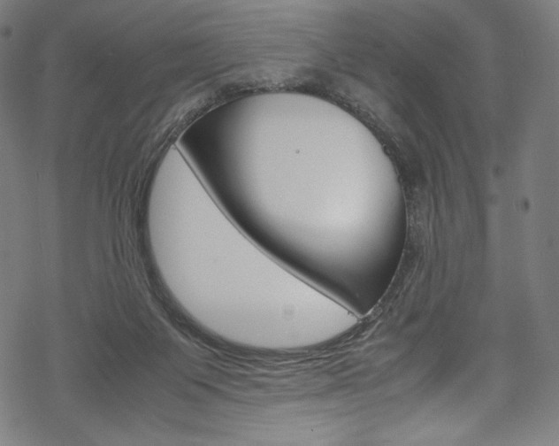 X0000070190119200605261014