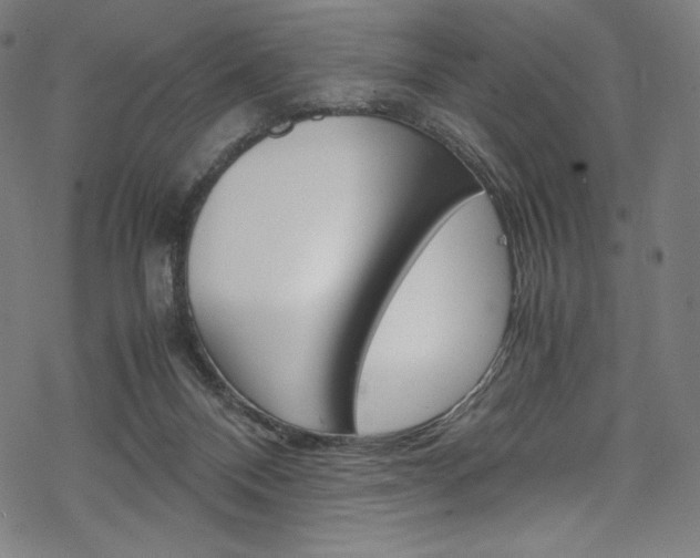 X0000070190120200605261014