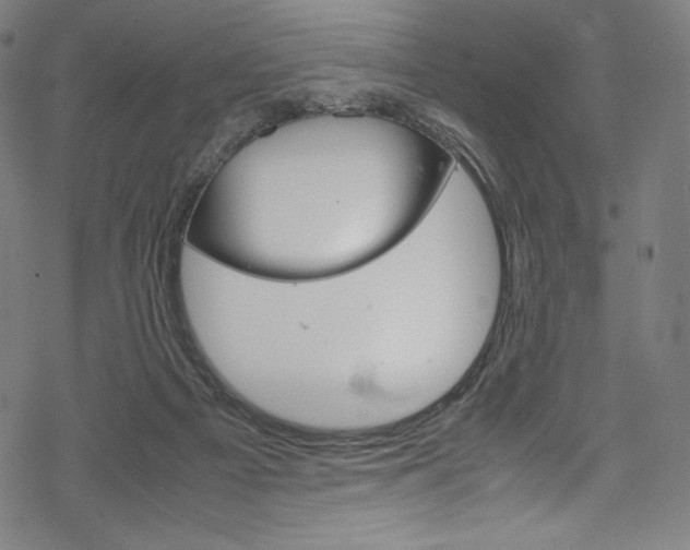 X0000070190121200605261014