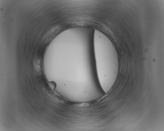 X0000070190122200605261014