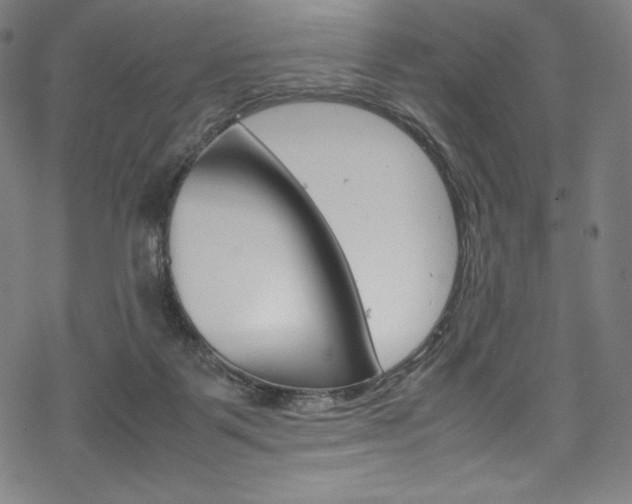 X0000070190123200605261014