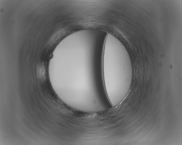 X0000070190124200605261014