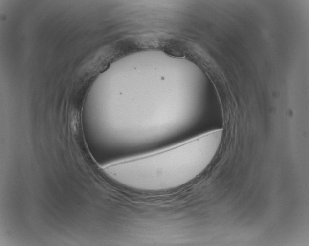 X0000070190125200605261014