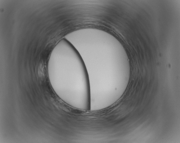 X0000070190126200605261014