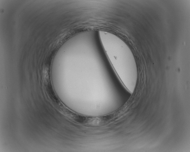 X0000070190127200605261014