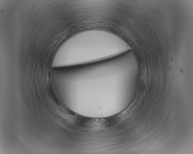 X0000070190128200605261014