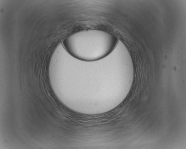 X0000070190129200605261014