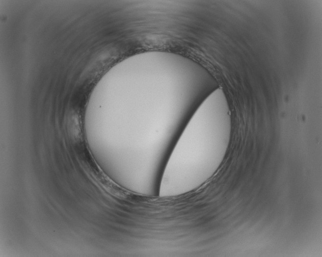 X0000070190130200605261014