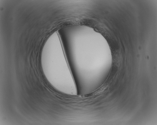 X0000070190131200605261014