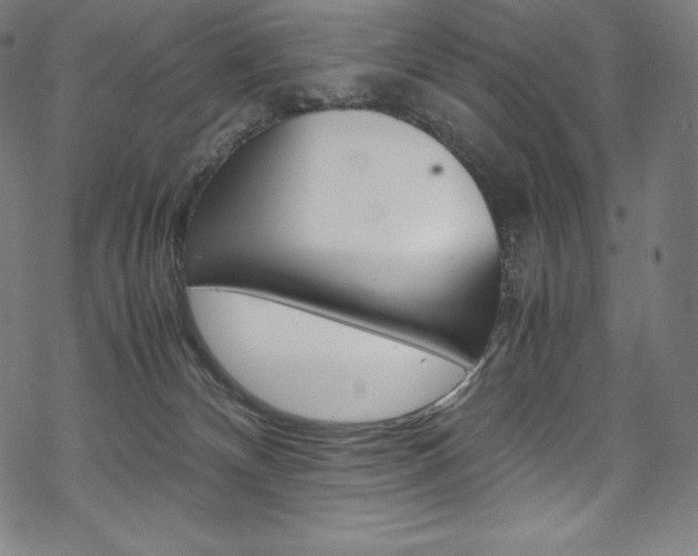 X0000070190132200605261014