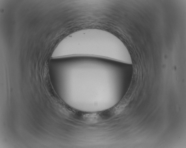 X0000070190133200605261014