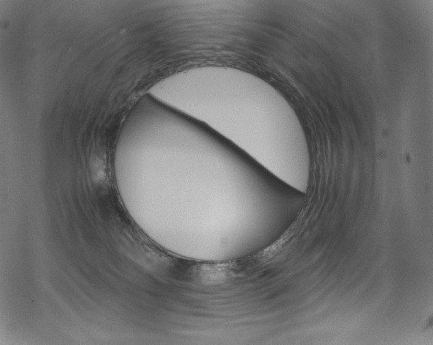 X0000070190134200605261014