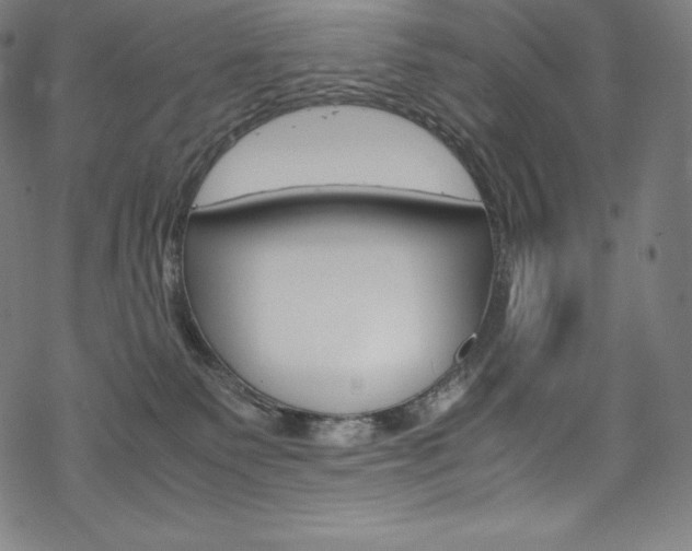 X0000070190135200605261014