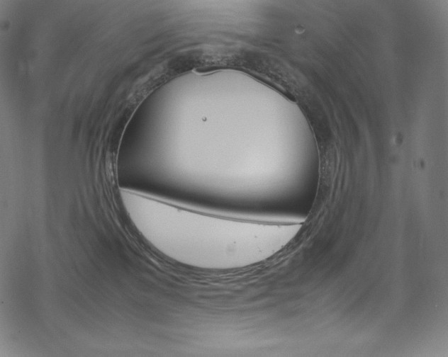 X0000070190137200605261014