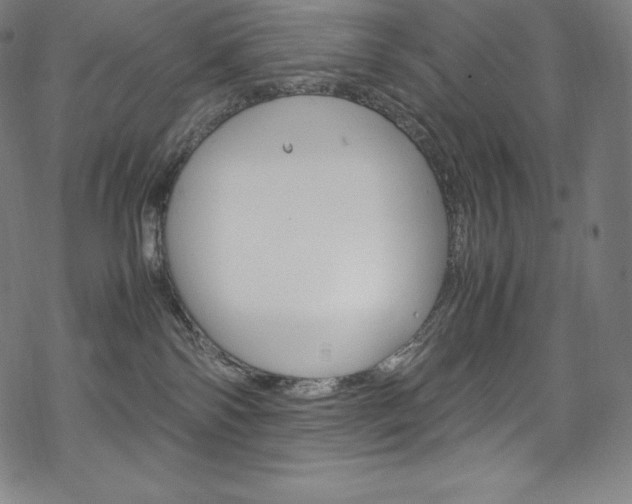 X0000070190138200605261014