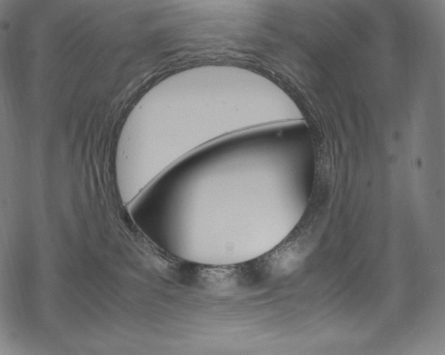 X0000070190139200605261014