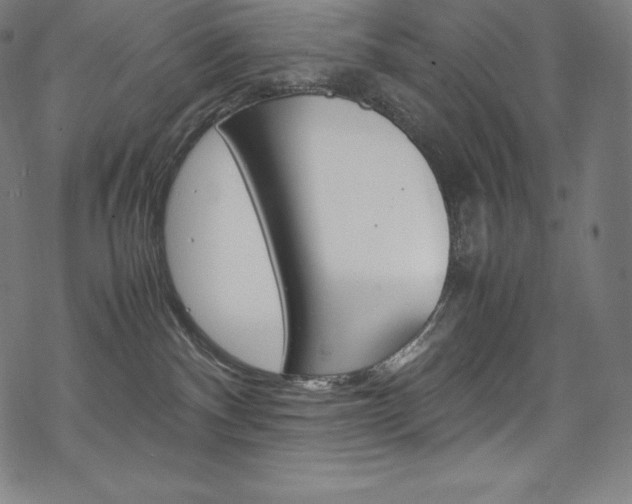 X0000070190140200605261014