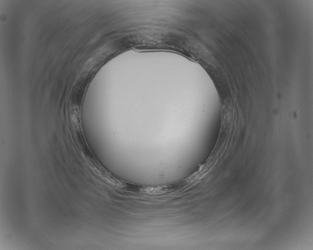 X0000070190141200605261014