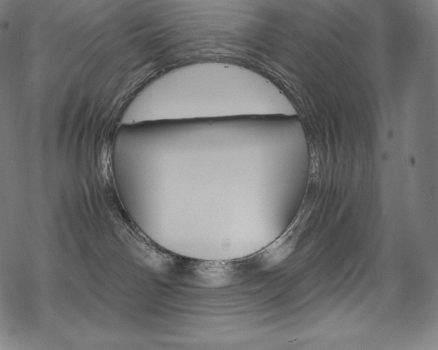 X0000070190142200605261014