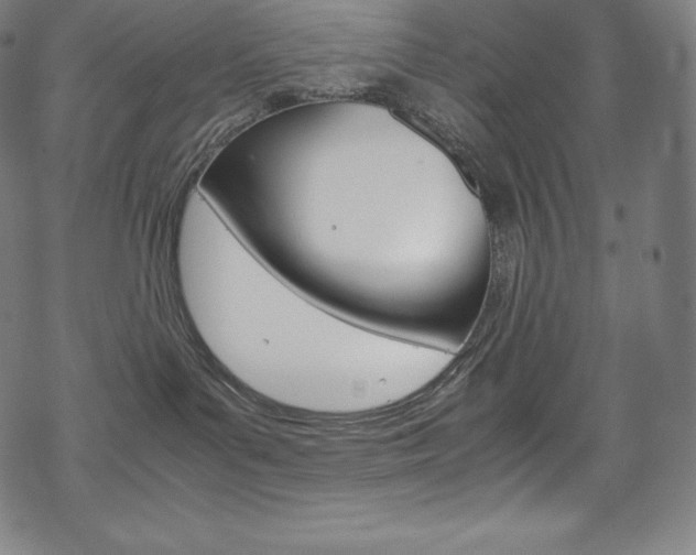 X0000070190143200605261014