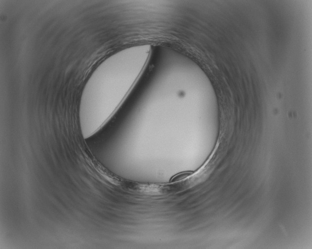 X0000070190144200605261014