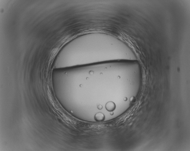 X0000070190145200605261013