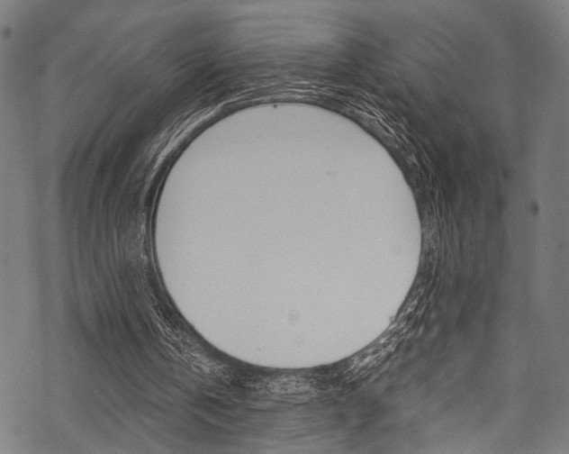 X0000070190146200605261013