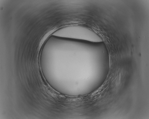 X0000070190147200605261013