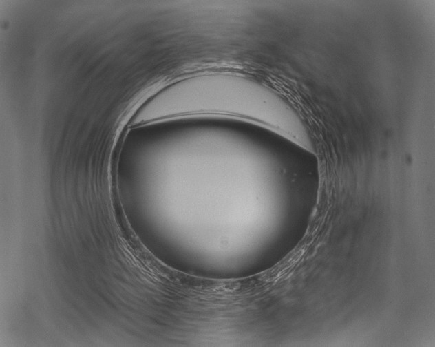 X0000070190148200605261013